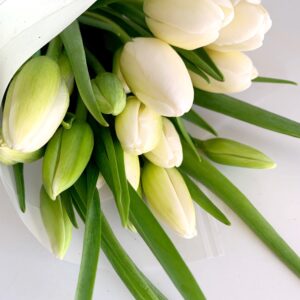 tulipanes blancos bouquet envio zapopan guadalajara toche cuplez