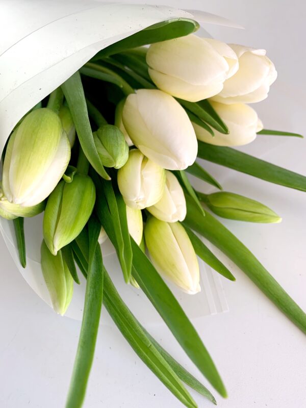 tulipanes blancos bouquet envio zapopan guadalajara toche cuplez